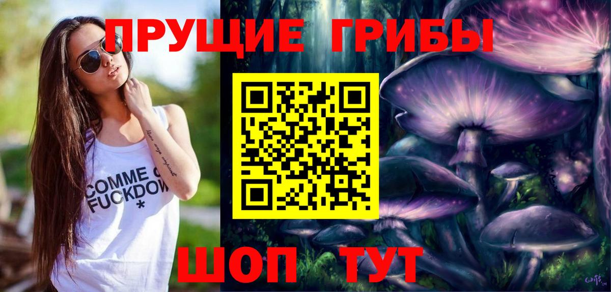 Знаменск  Галлюциногенные грибы прущие грибы  Вход с VPN 